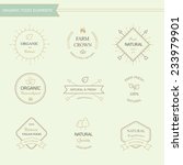 set of badges and labels ... | Shutterstock .eps vector #233979901