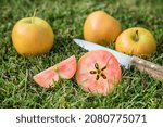Small photo of Apple kissable natural fruit fresh