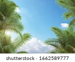 Palm Tree With Blue Sky ...