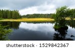 Small photo of Peatland (peak bog) with an island in the middle of the Ore Mountains in the north of Bohemia. The scene is complemented by wild-looking clouds in the sky.