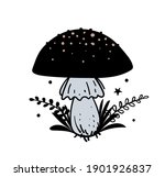 Amanita  Magic Black Mushroom...