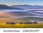 Colorful View Of A Herd Of...