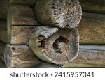 Small photo of Fragment of a wall made of logs, close-up. Log house corner. Fragment of a wall made of logs. Wall of an eco-friendly wooden house. Tow between the logs on the wall of the old house.