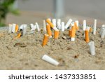 Cigarette Butts Stuck In The...