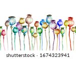 Multi Colored Poppy Capsules On ...