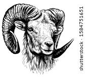  mountain sheep. sketchy  black ... | Shutterstock .eps vector #1584751651