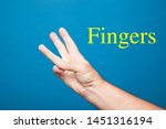 right hand  palm of the hand... | Shutterstock . vector #1451316194