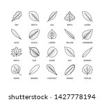 Useful Leaves Linear Icons...