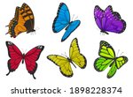 Set Of Colorful Butterflies....