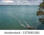 Small photo of View of the Burrum River in Queensland, Australlia showing a submerged log and other snaggy areas often associated with ambush hunting fish.