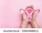 Women's health  gynecology and...
