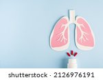 Small photo of Lungs paper decorative model with pills on light blue background. World tuberculosis TB day, pneumonia, respiratory diseases concept. Top view, flat lay, copy space