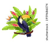 toucan vector illustration ... | Shutterstock .eps vector #1959686074