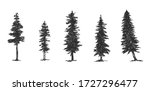 pine sketch side view hand draw ... | Shutterstock .eps vector #1727296477