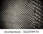 Black snake skin pattern texture background