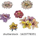 hand drawn topical flower... | Shutterstock .eps vector #1623778351