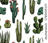 Cacti And Succulents Hand Drawn ...
