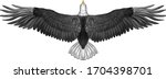 Symmetrical Eagle With Spread...