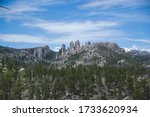 Rocky hills with green pine trees in Black Hills South Dakota United States on blue sky background as nature concept for travel blog and empty space for text with forest landscape as postcard