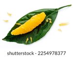 Small photo of Peeled orange fruit pulp on green leaf isolated on white background. Macro photo of citrus fruit slice. Fresh, juicy pulp of orange