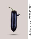 Small photo of Ugly eggplant with nose levitate on gray background. Funny, abnormal vegetable, ugly produce or food waste concept.