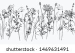 ink wildflowers hand drawn... | Shutterstock . vector #1469631491