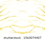luxury tiger print.  geometric... | Shutterstock . vector #1563074407