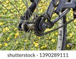 Small photo of Bicycle freewheel and chain close up image