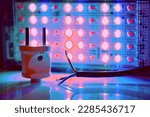 Electrical pink equipment connection. Core electric cable and lighting LED lamp                               