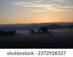 Small photo of morning fog on the swampland