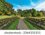 Small photo of Royal Botanic Gardens, Peradeniya are about 5.5 km to the west of the city of Kandy in the Central Province of Sri Lanka. It attracts 2 million visitors annually. It is near the Mahaweli River.