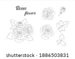 hand drawn roses flowers... | Shutterstock .eps vector #1886503831