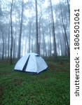 Outdoor Camping Tent Among Pine ...