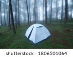 Outdoor Camping Tent Among Pine ...