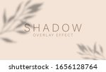 shadow overlay effect.... | Shutterstock .eps vector #1656128764