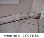 Small photo of Preparing baseboards after removing old baseboards; installing baseboards after flooring