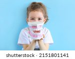 Little cute funny girl holding tooth jaw, dent. Kid training oral hygiene. Child learning brushing, cleaning teeth. Prevention of caries in children. children dentistry. dental care. kid dentist
