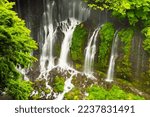 Small photo of The Shira-Ito Falls (shira=white + ito=thread) on the Shiba River are a unique waterfall in the scenic, lush surroundings of the Fuji-Hakone-Izu National Park on the western slope of Mt. Fuji.