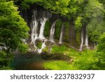 Small photo of The Shira-Ito Falls (shira=white + ito=thread) on the Shiba River are a unique waterfall in the scenic, lush surrounds of the Fuji-Hakone-Izu National Park on the western slope of Mt. Fuji.