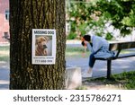 Small photo of There is a missing dog notice on a tree. in the background, a heartbroken dog owner mourns while sitting on a bench.