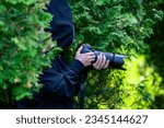 Small photo of Paparazzi photograph a famous person on the sly. A private detective is filming from behind the bushes.