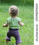 Small photo of Young curly haired, caucasian girl toddler gingerly walking through a meadow by herself