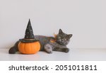 Halloween Pumpkin In A Black...