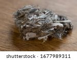 Small photo of Owl pellet. An Owl's regurgitated remains of undigested prey.