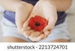 Small photo of Hands holding red poppy flowers, remembrance day, Veterans day, lest we forget concept