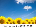 Sunflower Background For...