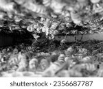 Small photo of Winged bee slowly flies to beehive collect nectar on private apiary from live flowers. Apiary consisting of village beehive, floret dust on bee legs. Apiary it beehive for bees at background closeup