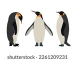 penguin icons set. collection...