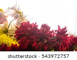 bouquet of colorful autumn... | Shutterstock . vector #543972757