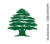 Abstract Cedar Tree. Lebanese...